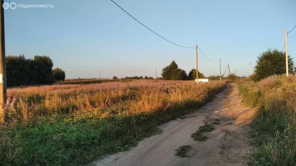 Участок в Вологодская область, Шекснинский муниципальный округ, ... - Фото 0