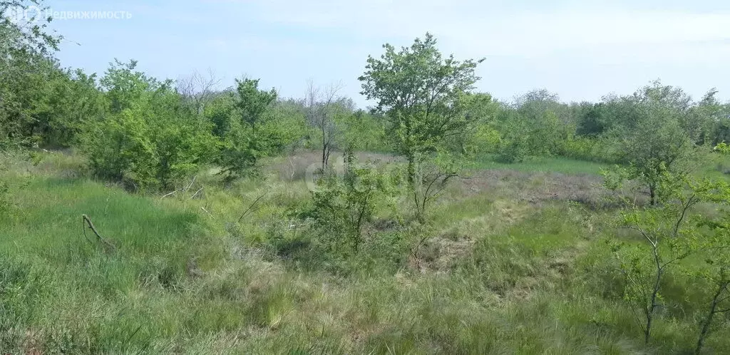 Участок в село Верхнепогромное, Зелёная улица (15 м) - Фото 0
