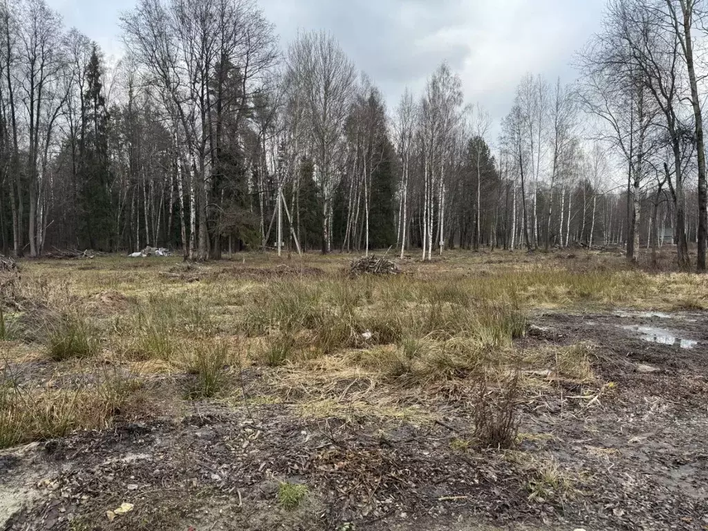 Участок в Московская область, Богородский городской округ, Южный зона  ... - Фото 1