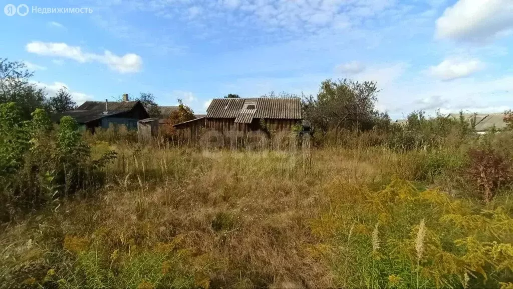 Участок в Брянская область, рабочий посёлок Климово, улица Калинина ... - Фото 1