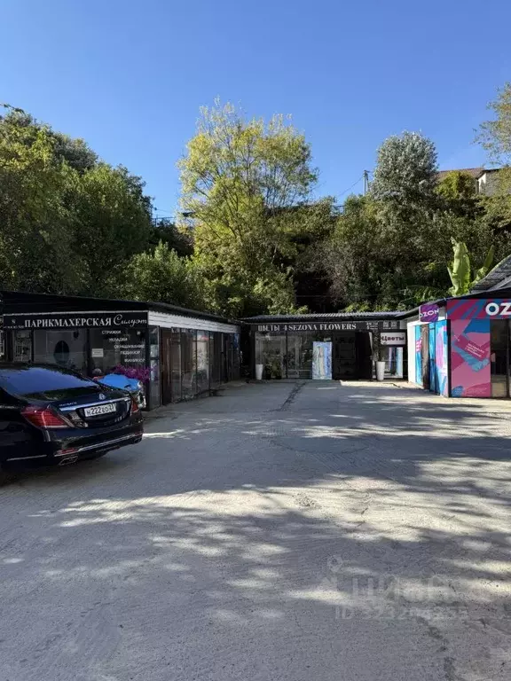 Помещение свободного назначения в Краснодарский край, Сочи ул. ... - Фото 2