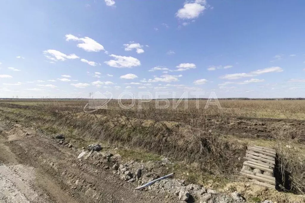 Участок в Тюменская область, Тюменский район, д. Елань  (8.0 сот.) - Фото 1