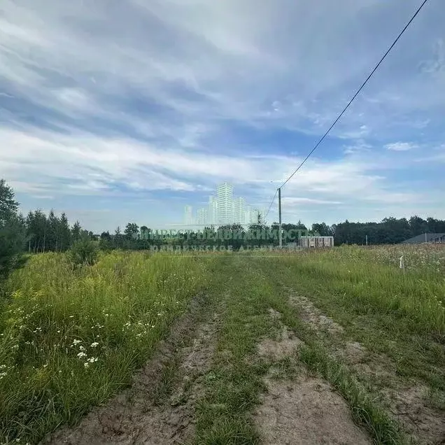 Участок в Брянская область, Брянский район, Отрадненское с/пос, с. ... - Фото 2