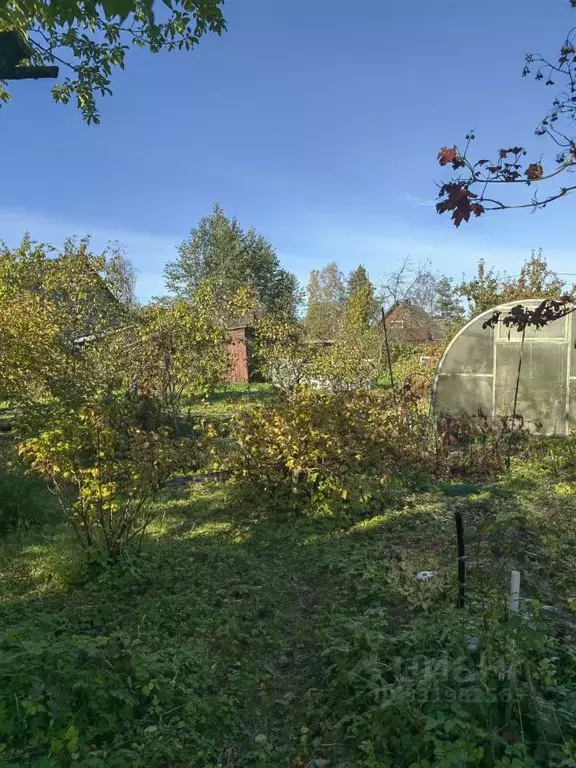 Участок в Санкт-Петербург Юбилейный СНТ, 1-я линия, 7 (11.97 сот.) - Фото 2