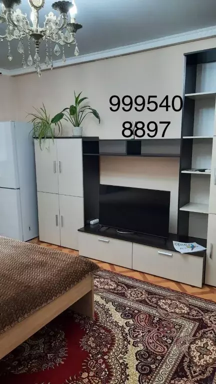 1-к кв. Дагестан, Избербаш ул. Г. Гамидова, 95 (40.0 м) - Фото 0