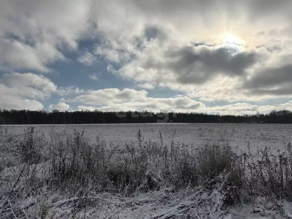 Участок в Мордовия, Саранск Буревестник садоводческое товарищество,  ... - Фото 2