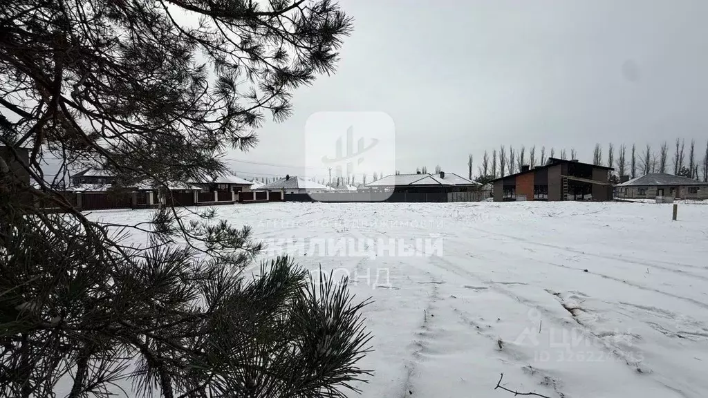 Участок в Саратовская область, Энгельсский район, Красноярское ... - Фото 1