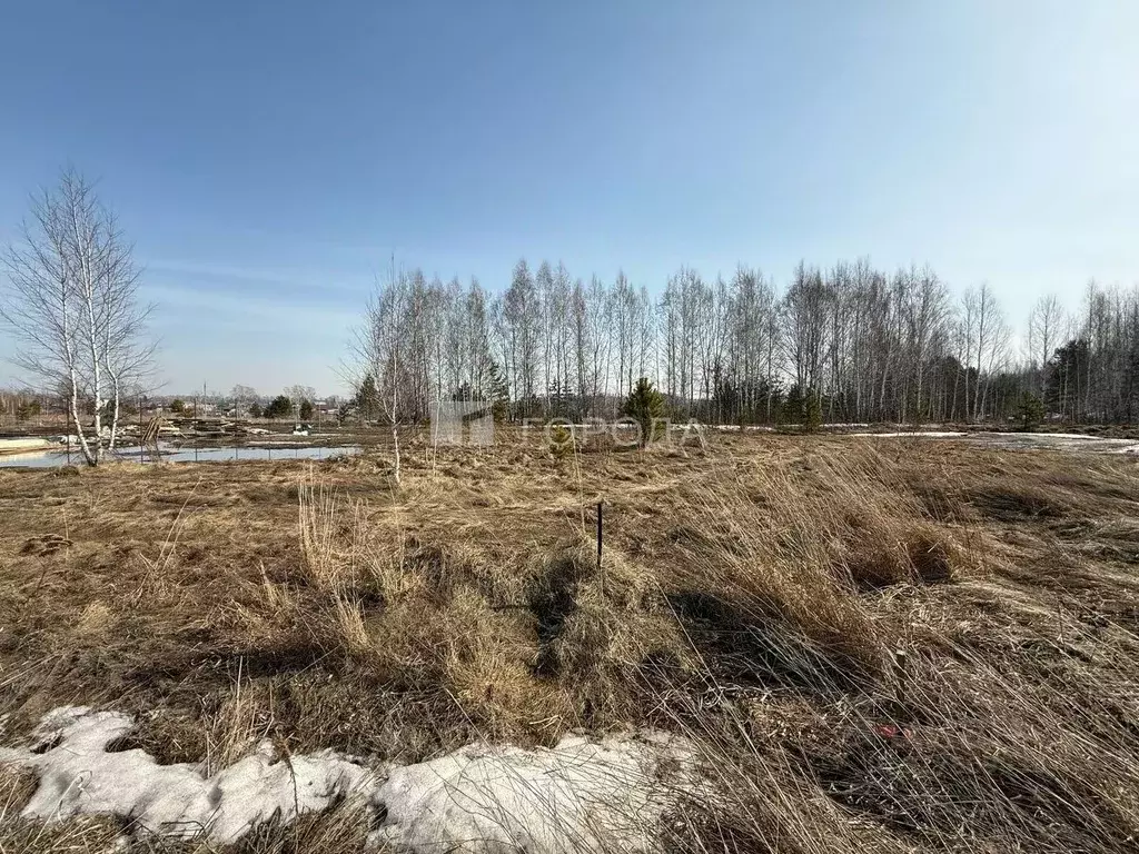 Участок в Новосибирская область, Новосибирский район, Кубовинский ... - Фото 1