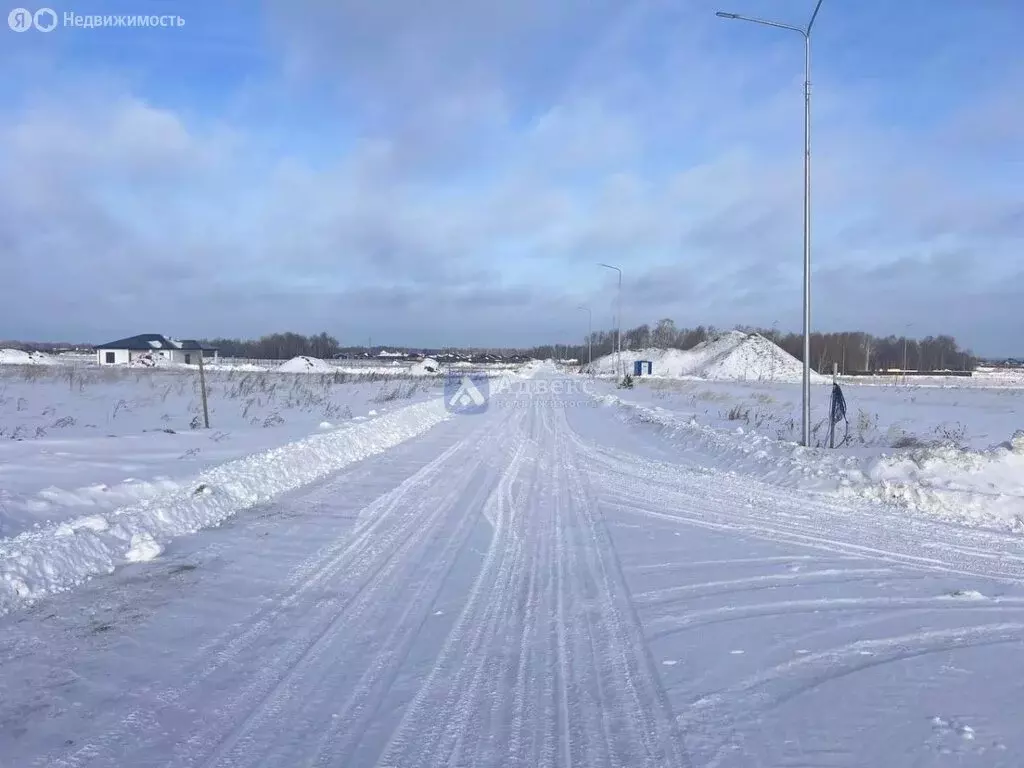 Участок в Тюменский район, деревня Насекина (840 м) - Фото 1