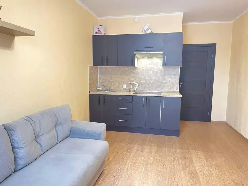 Студия Санкт-Петербург просп. Ветеранов, 169к3 (23.5 м) - Фото 2