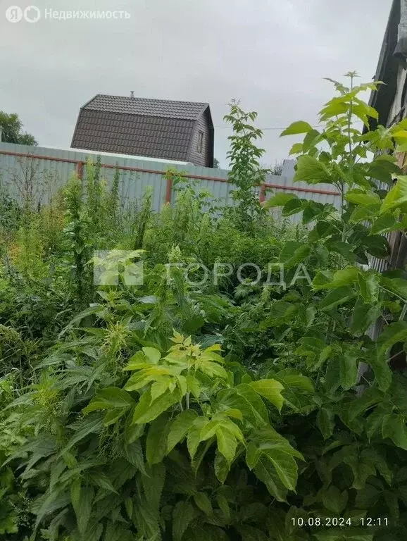 Участок в Новосибирск, ТСН Восход Пашинский, 69 (3.9 м) - Фото 1