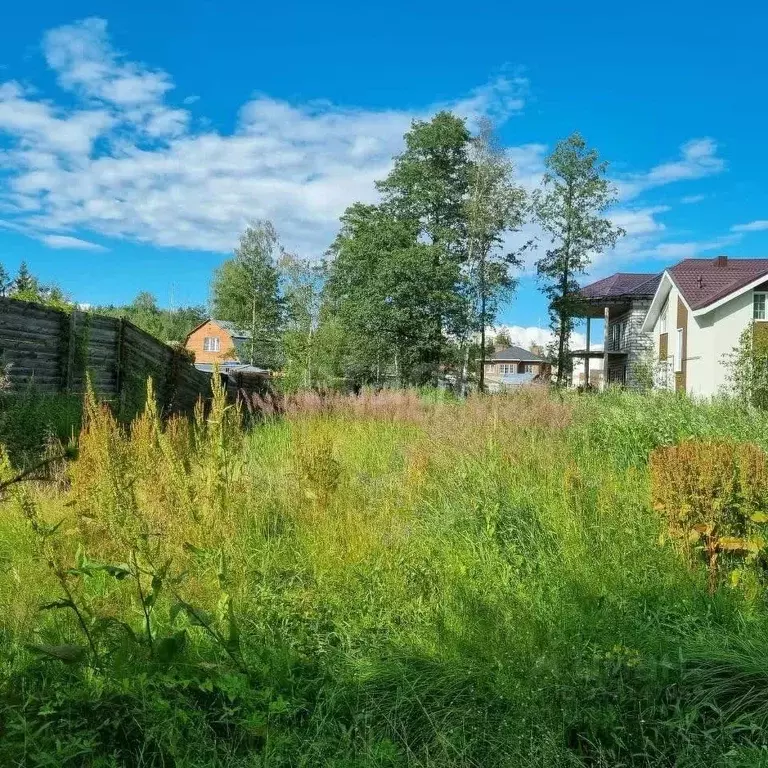 Участок в Московская область, Пушкинский городской округ, д. Жуковка, ... - Фото 0