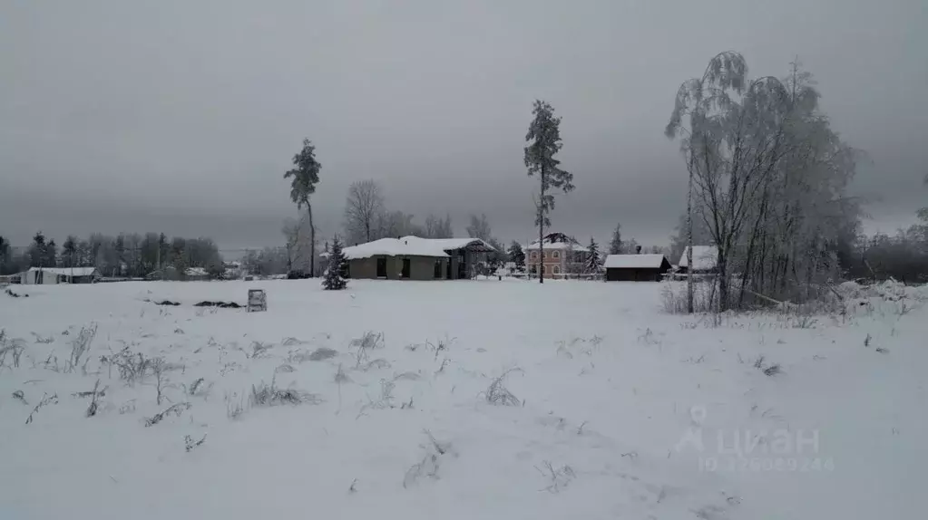 Участок в Ленинградская область, Всеволожский район, Колтушское ... - Фото 2