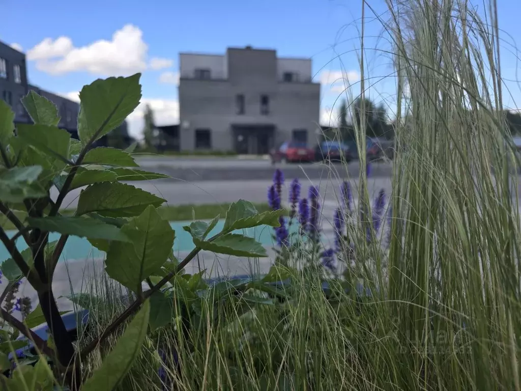 Таунхаус в Новосибирская область, Кольцово рп, Ботаника мкр 1/2 (79 м) - Фото 1