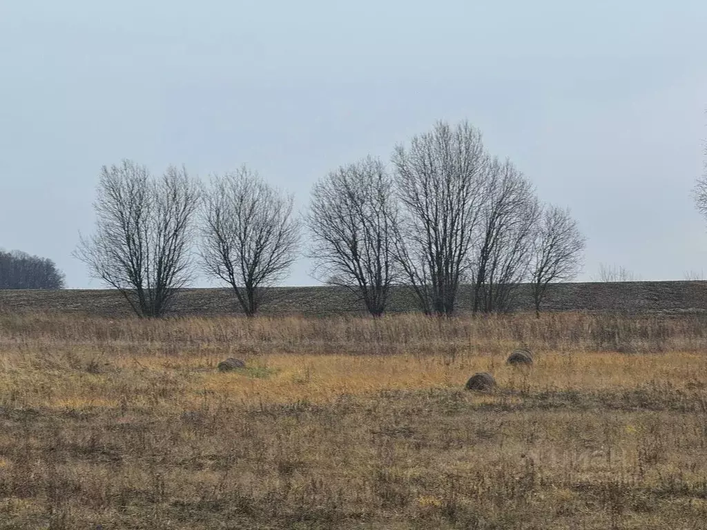 Участок в Московская область, Кашира городской округ, д. Токарево  ... - Фото 0