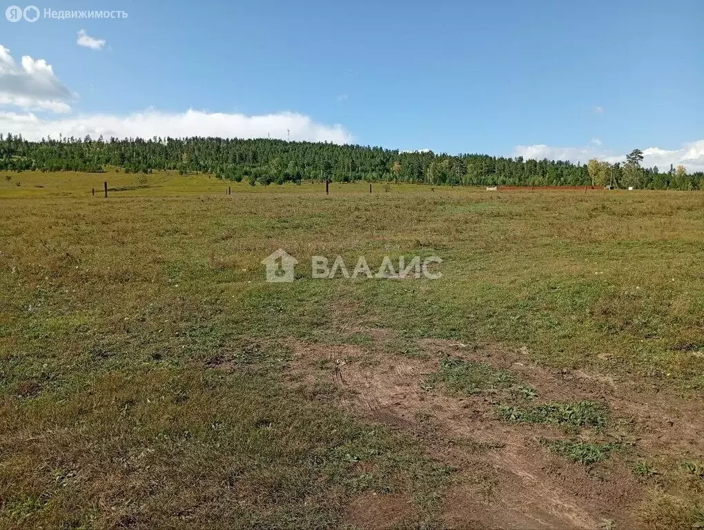 Участок в Читинский район, посёлок городского типа Новокручининский ... - Фото 1