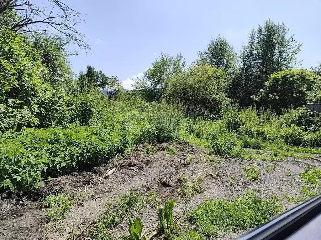 Участок в Северная Осетия, Владикавказ Учитель СТ, 365/3 (5.0 сот.) - Фото 1