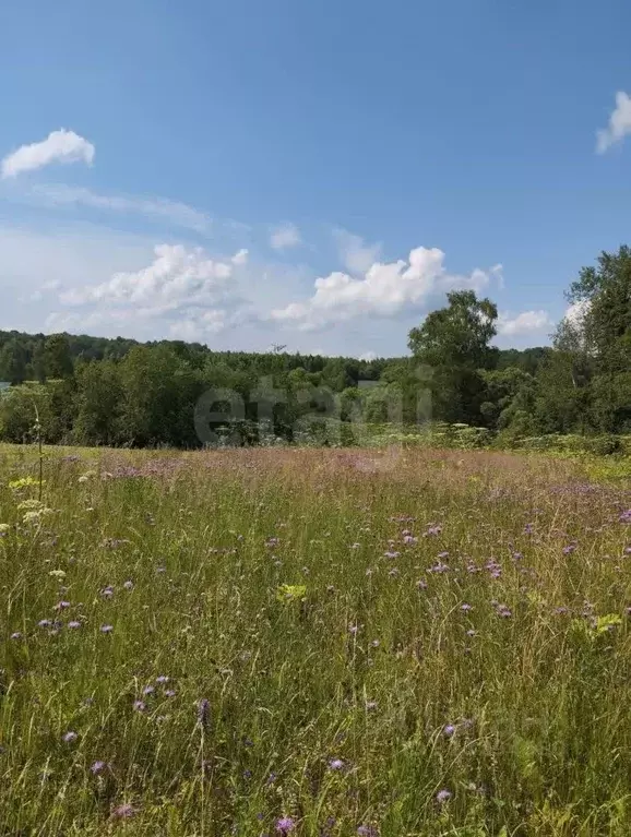 Участок в Калужская область, Малоярославецкий муниципальный округ, ... - Фото 1