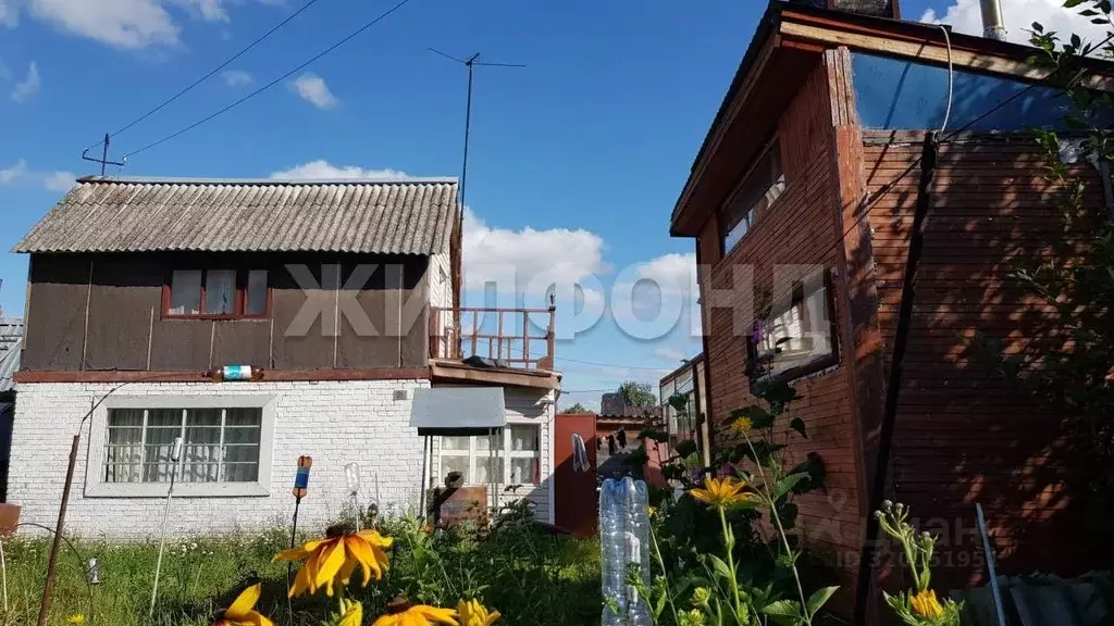 Дом в Новосибирская область, Тогучинский район, Биолог СТ  (40 м) - Фото 0