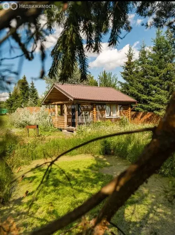 Дом в Владимирская область, Александровский муниципальный округ, ... - Фото 1