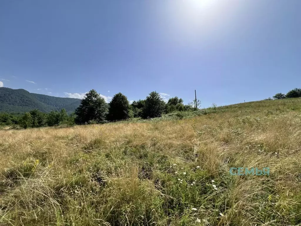 Участок в Северная Осетия, Владикавказ Иристон СТ, ул. Тибская (4.88 ... - Фото 1