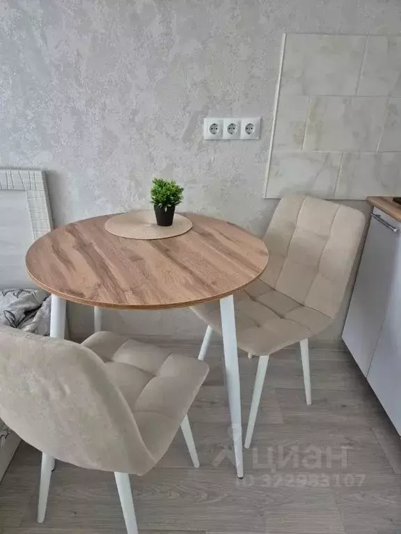 Студия Пензенская область, Пенза ул. Шмидта, 24 (20.0 м) - Фото 1