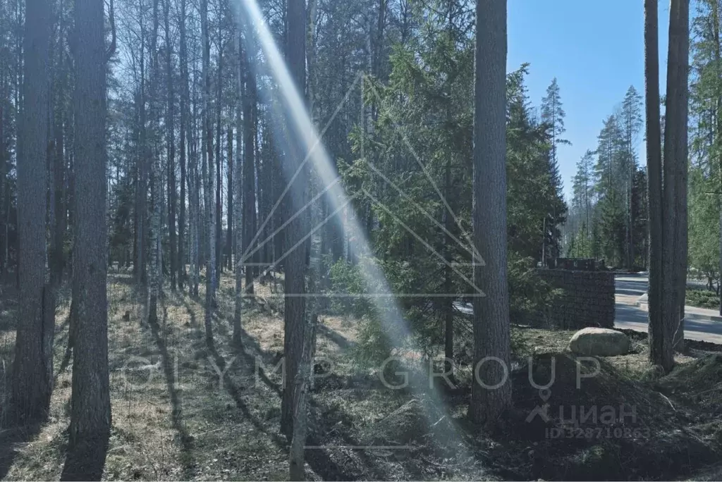 Участок в Ленинградская область, Выборгский район, Первомайское с/пос, ... - Фото 2
