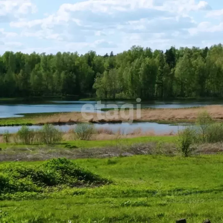 Участок в Костромская область, Красносельский район, Шолоховское ... - Фото 0