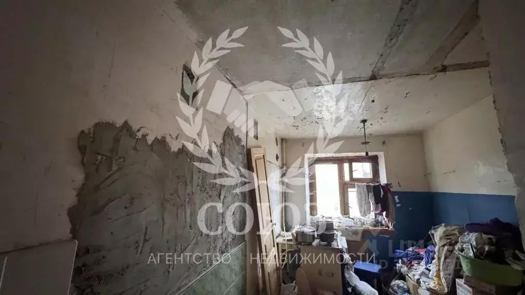 1-к кв. Калужская область, Белоусово г. Жуковский муниципальный округ, ... - Фото 1