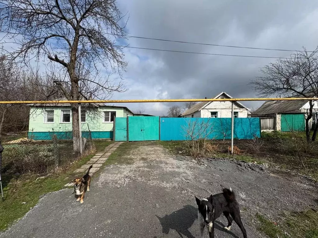 Дом в Белгородская область, Новооскольский муниципальный округ, с. ... - Фото 1