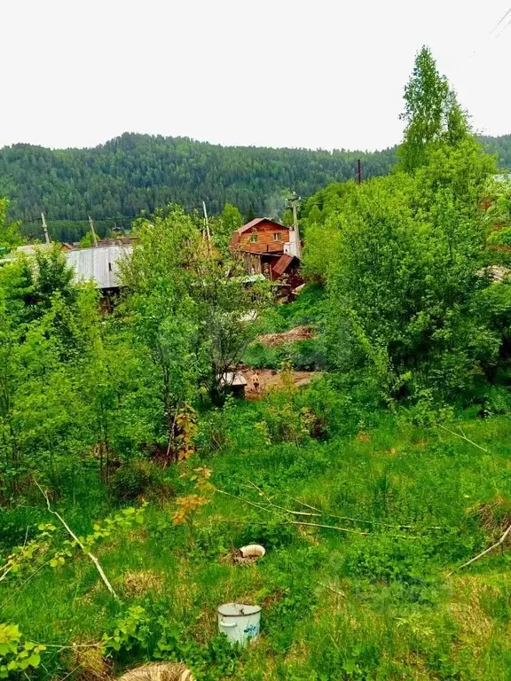 Участок в Алтай, Турочакский район, с. Иогач Школьная ул. (8.0 сот.) - Фото 2