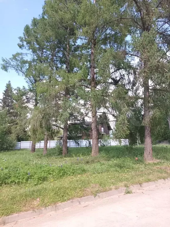 Участок 15 сот. (ИЖС) - Фото 1