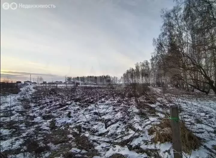 Участок в Калужская область, Бабынинский муниципальный округ, ... - Фото 2