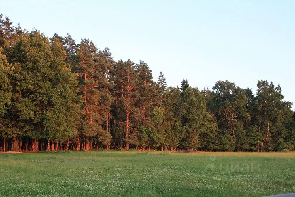Участок в Московская область, Одинцовский городской округ, д. Дарьино  ... - Фото 1