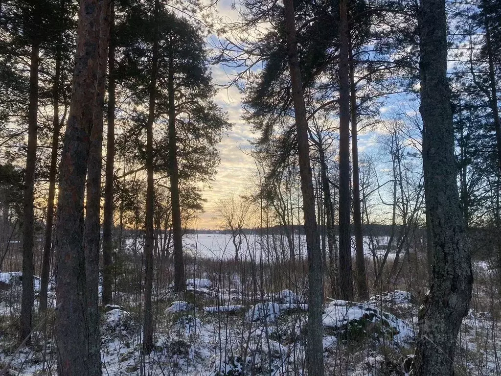 Участок в Ленинградская область, Выборг Поселок Кировские дачи,  (1.0 ... - Фото 2