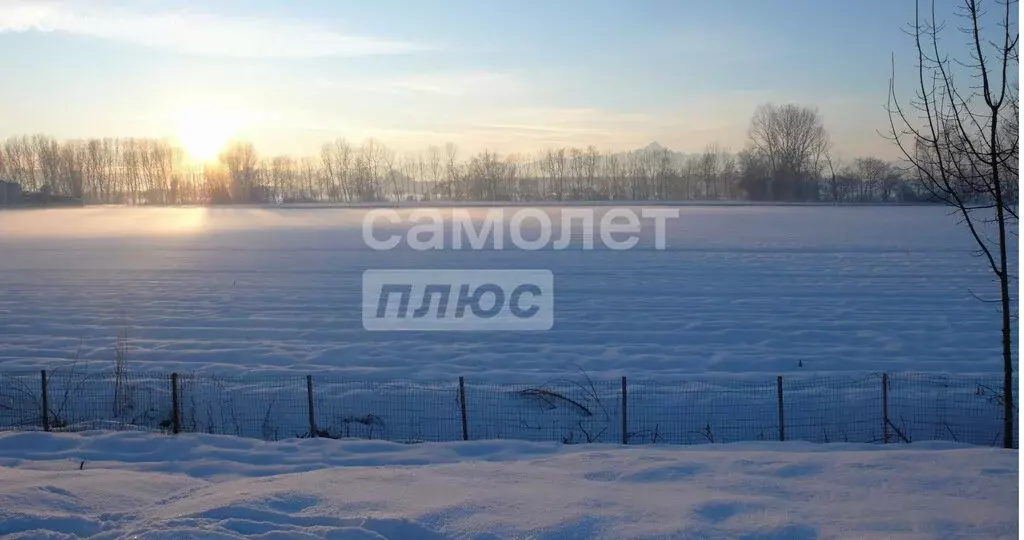 Участок в Баклашинское муниципальное образование, посёлок Пионерск ... - Фото 0