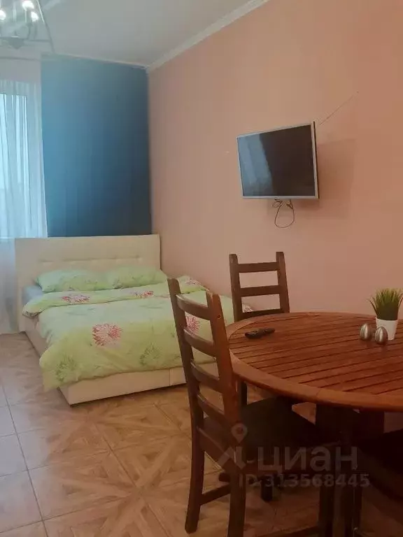Студия Тверская область, Конаково Учебная ул., 1А (30.0 м) - Фото 0