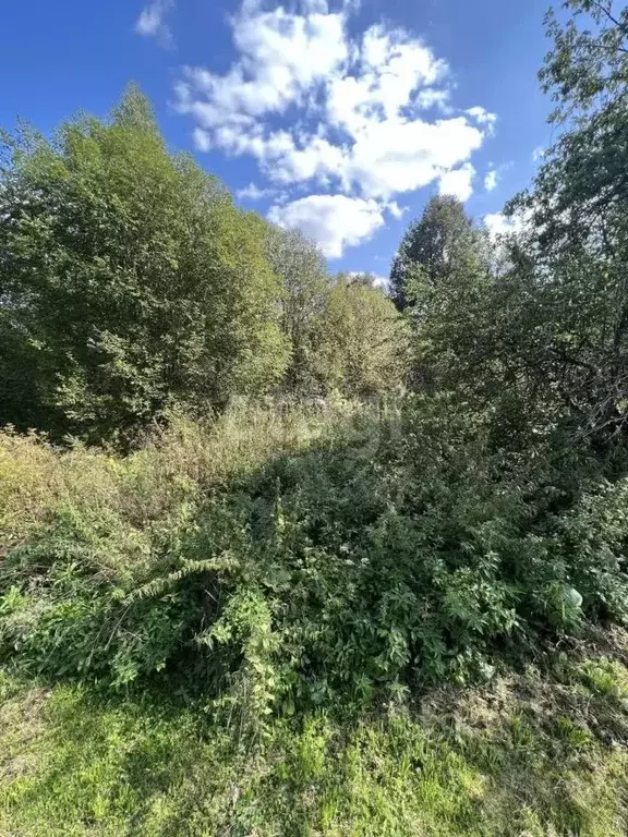 Участок в Калужская область, Сухиничский район, Верховая с/пос, д. ... - Фото 1