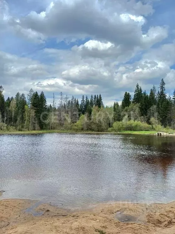 Участок, 13.2 сот., 0 - Фото 0