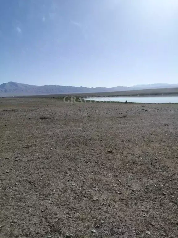 Участок в Алтай, с. Кош-Агач ул. Полевая (13.0 сот.) - Фото 1