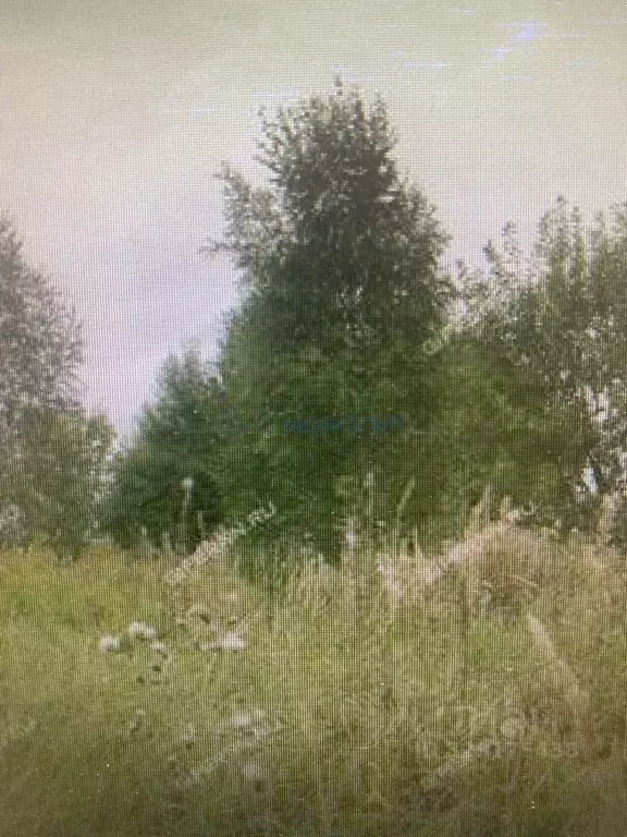 Участок в Нижегородская область, Нижний Новгород д. Фроловское, 1 ... - Фото 2