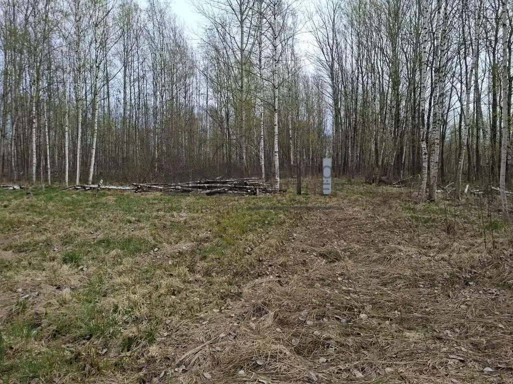 Участок в Новгородская область, Великий Новгород Береговая ул. (8.9 ... - Фото 2