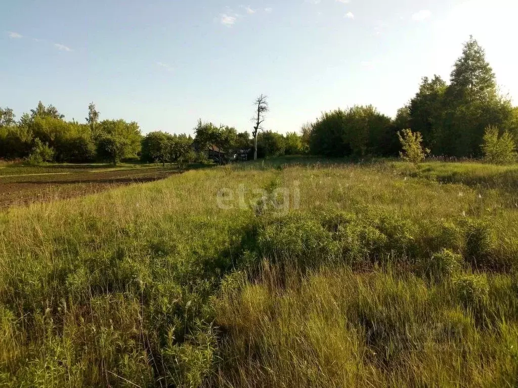 Купить Дом В Никуличах Орел
