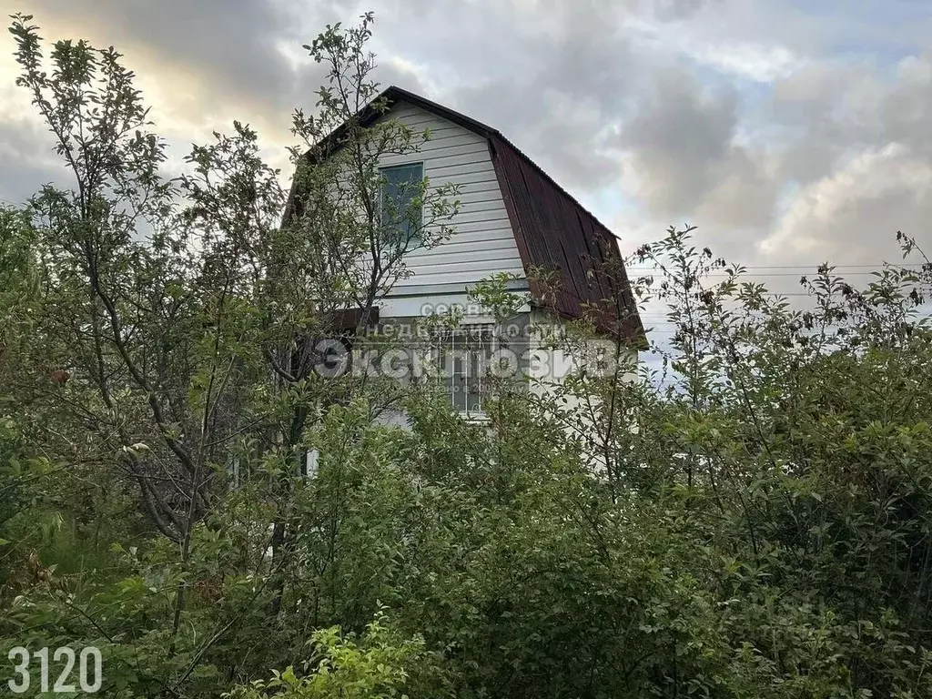 Дом в Севастополь, Севастополь, Балаклава г. Благодатный садоводческое ... - Фото 0