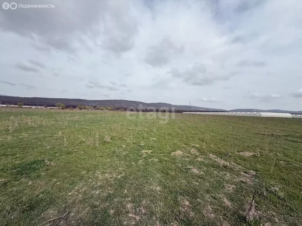 Участок в Краснодарский край, городской округ Новороссийск, станица ... - Фото 1
