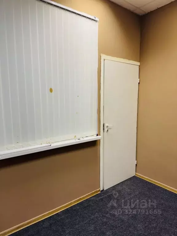 Помещение свободного назначения в Псковская область, Псков ул. Яна ... - Фото 1