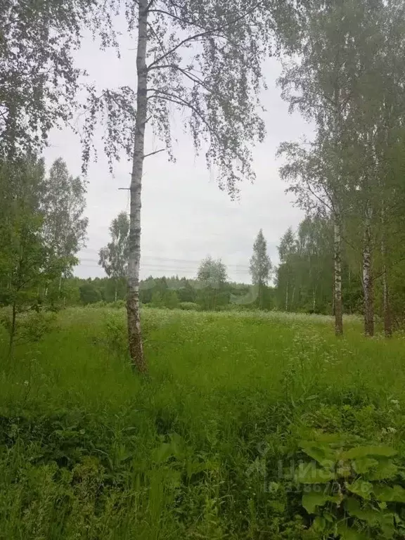 Участок в Калужская область, Малоярославецкий муниципальный округ, ... - Фото 2