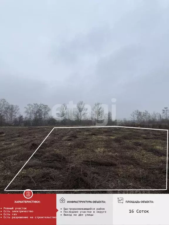 Участок в Белгородская область, Строитель Яковлевский городской округ, ... - Фото 1