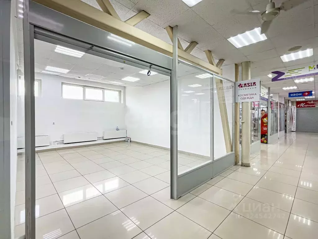 Помещение свободного назначения в Вологодская область, Вологда ... - Фото 1