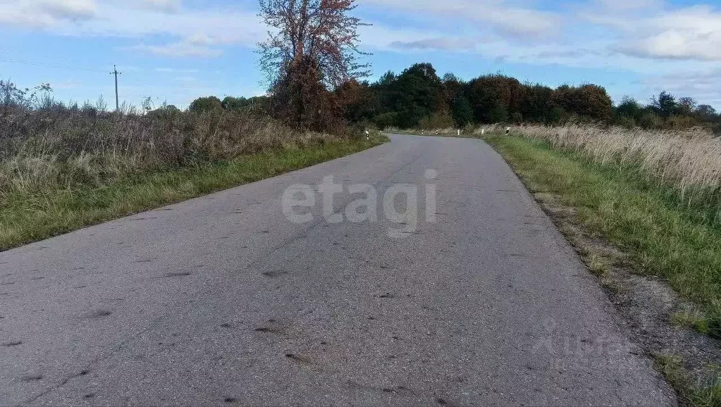 Участок в Калининградская область, Зеленоградский муниципальный округ, ... - Фото 1